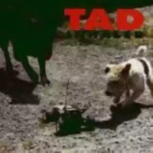 Cover Tad - Inhaler