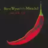 Steve Wynn & The Miracle 3: ... Tick... Tick... Tick