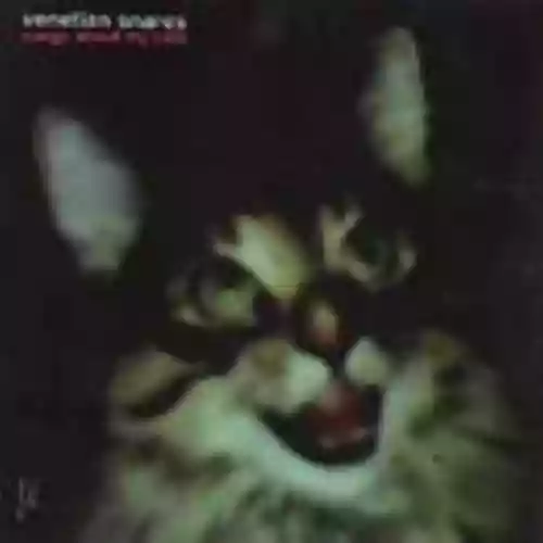 Cover Venetian Snares - Songs About My Cats