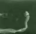 <b>Tenhi</b> • Maaäet