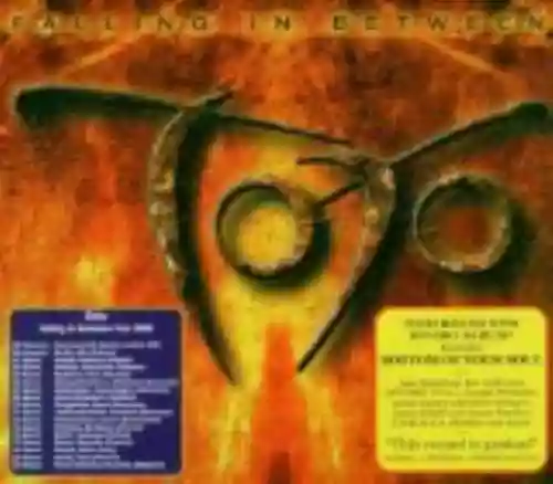 Cover di Falling in Between