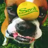 Cover di Get Some