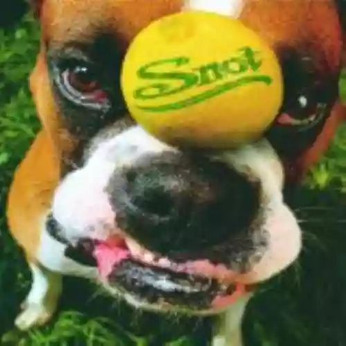 Cover di Get Some