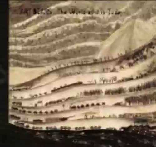 Cover Art Bears - The World as It Is Today