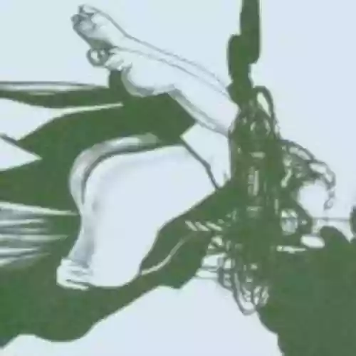 Cover Loose Fur - Born Again in the USA