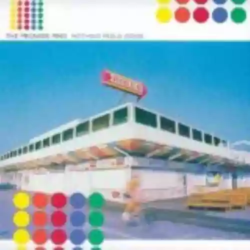 Cover The Promise Ring - Nothing Feels Good