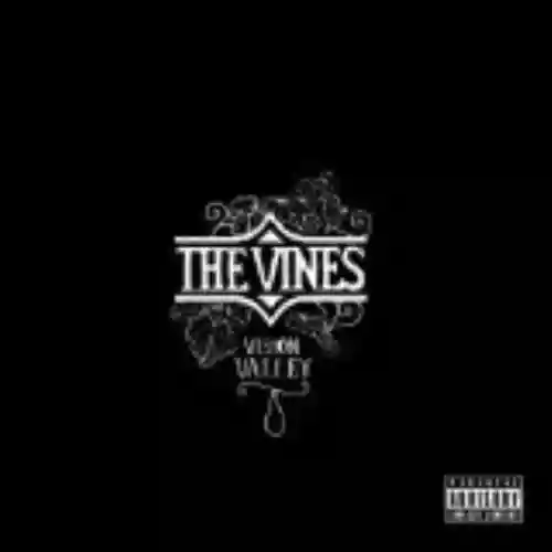 Cover di Vision Valley