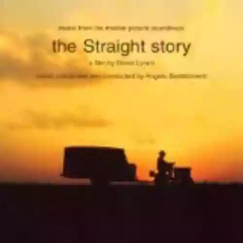Cover di The Straight Story