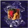 <b>Matmos</b> • The Rose Has Teeth in the Mouth of a Beast