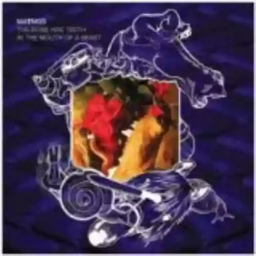 Cover di The Rose Has Teeth in the Mouth of a Beast