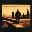 frank black and the catholics: dog in the sand