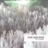 Shearwater: Palo Santo