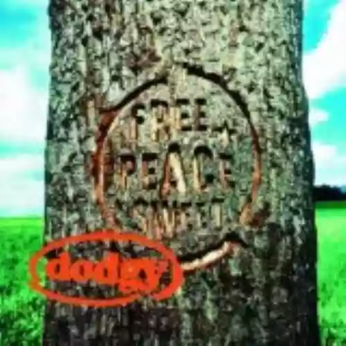 Cover di Free Peace Sweet