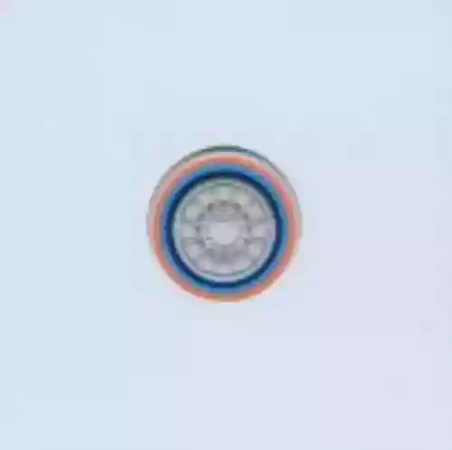 Cover Fujiya & Miyagi - Transparent Things