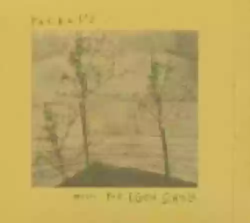 Cover di Music for Egon Schiele