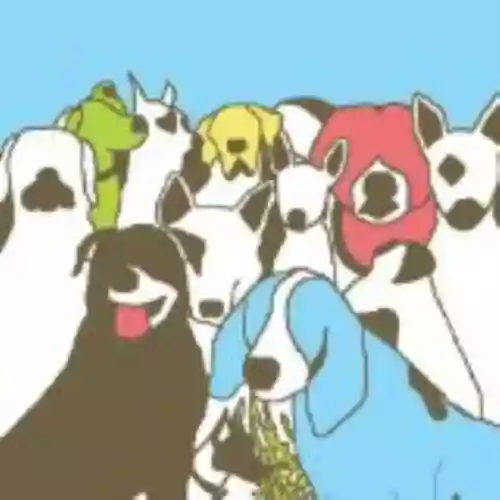 Cover di Dog Problems
