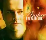Sylvain Luc: Ambre