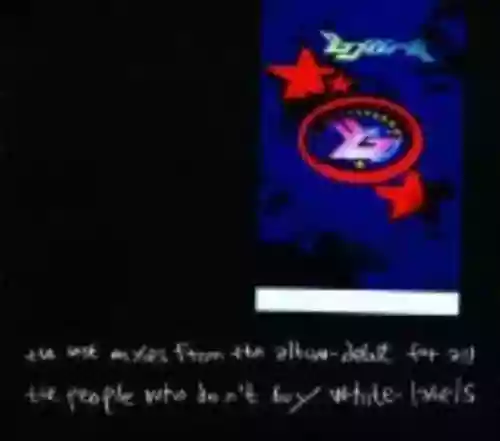 Cover di The Best Mixes From the Album - Debut for All the People Who Don't Buy White-Labels