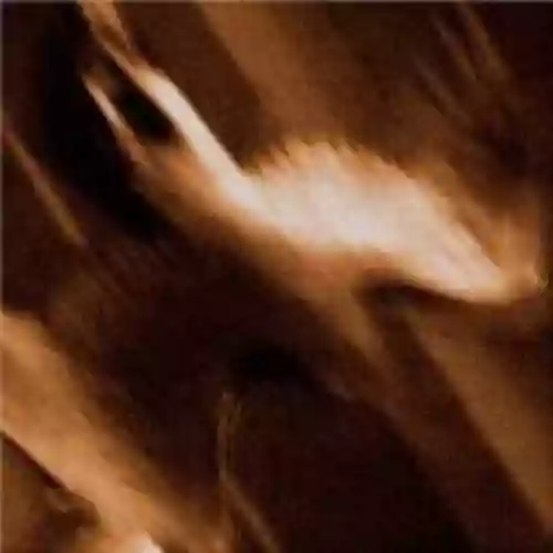 Cover Agalloch - Ashes Against the Grain