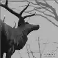 <b>Agalloch</b> • The Mantle