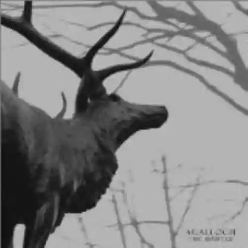 Cover Agalloch - The Mantle
