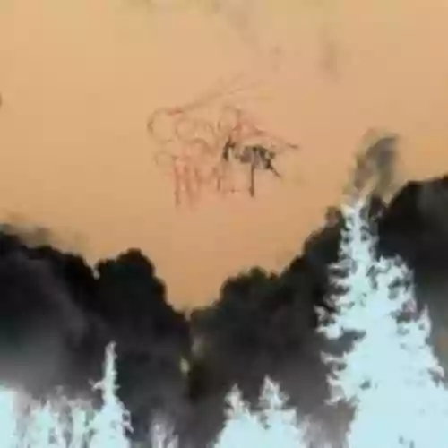 Cover di Avatar