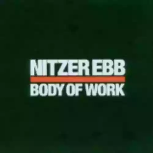 Cover di Body of Work