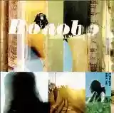 Bonobo: Animal Magic