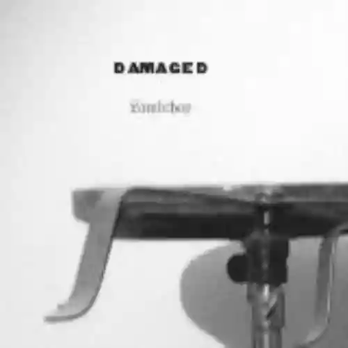 Cover di Damaged