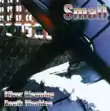 Small: Silver Gleaming Death Machine