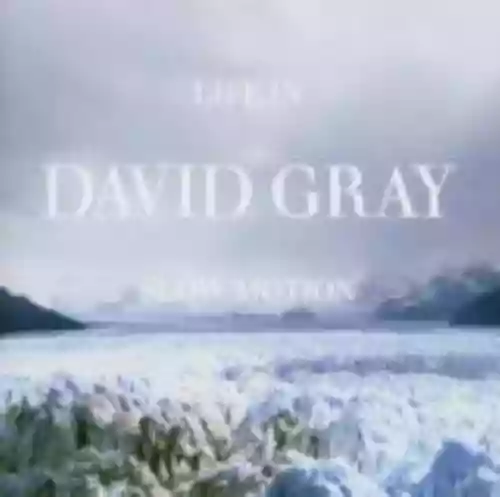 Cover di Life in Slow Motion