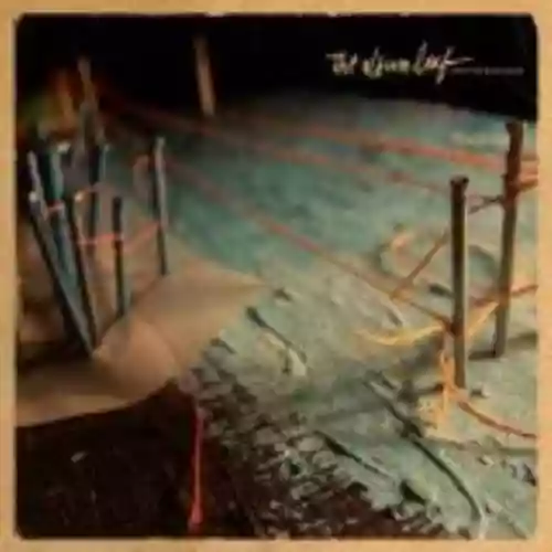 Cover di Into the Blue Again