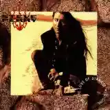 Steve Perry: For The Love Of Strange Medicine