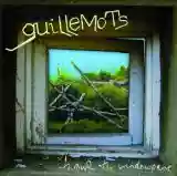 Guillemots: Through The Windowpane