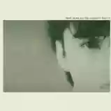 Felt: Crumbling the Antiseptic Beauty