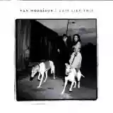 Van Morrison: Days Like This