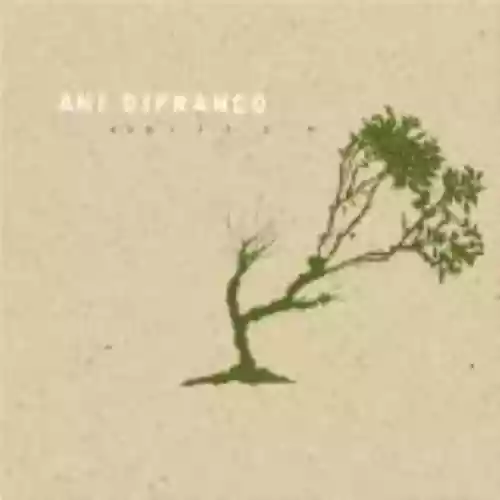 Cover di Reprieve