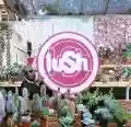 <b>Lush</b> • Lovelife