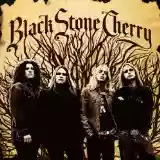 Black Stone Cherry: Black Stone Cherry