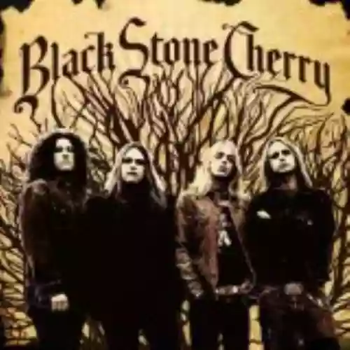 Cover di Black Stone Cherry