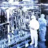 Porcupine Tree: Stupid Dream