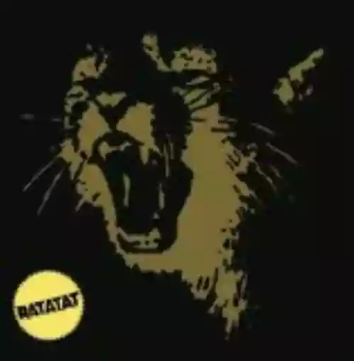 Cover Ratatat - Classics