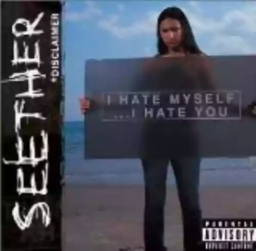 Cover Seether - Disclaimer