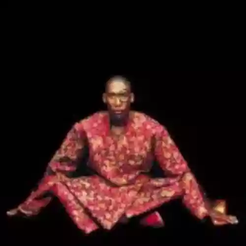 Cover Raphael Saadiq - Instant Vintage