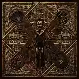 Cover di Live Bait for the Dead