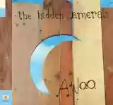The Hidden Cameras: Awoo
