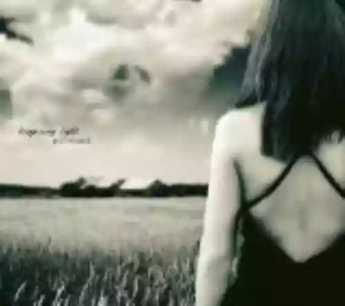 Cover di Lingering Light