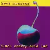 David Fiuczynski: Black Cherry Acid Lab