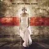 White Willow: Signal to Noise