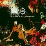 Nightmares On Wax: Mind Elevation